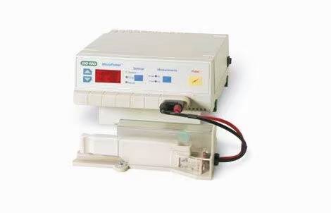 伯樂(lè)Bio-Rad MicroPulser電穿孔儀