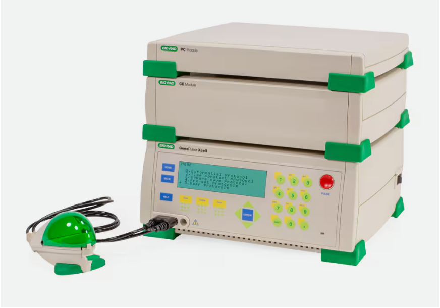 伯樂(lè) Gene Pulser Xcell 電穿孔儀系統(tǒng)（1652660）