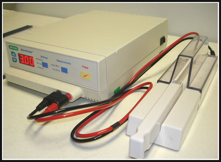 伯樂(lè)電穿孔儀1652660