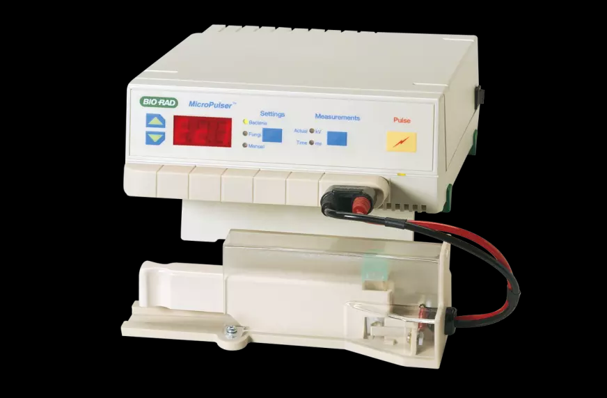 伯樂(lè)（Bio-Rad）MicroPulser 電穿孔儀